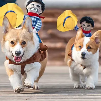Komik Köpek Cadılar Bayramı Köpek Kostümleri Evcil Hayvan Giysileri Kovboy Giyinme Ceket Mont Küçük Köpekler için Komik Fransız Bulldog Pug Giyim