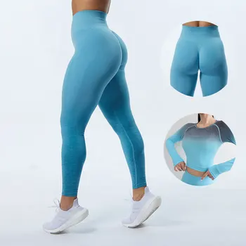 2 Parça Eşofman Degrade Spor Seti kadın Dikişsiz Yoga Seti Spor Giyim Spor Egzersiz Kıyafet Giyim Kırpma Üst Legging