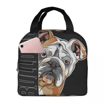 Ingilizce Bulldog Köpek Yalıtımlı Öğle Yemeği Çantaları Taşınabilir Piknik Çantaları Termal Soğutucu yemek kabı yemek taşıma çantası Kadın İş için Çocuk Okul